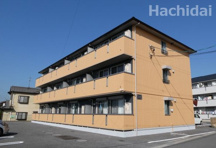 ユグドソレイユの画像