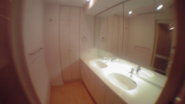 港区虎ノ門４丁目の賃貸マンションのその他|洗面