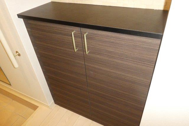 メゾンユイの内装|シューズボックス