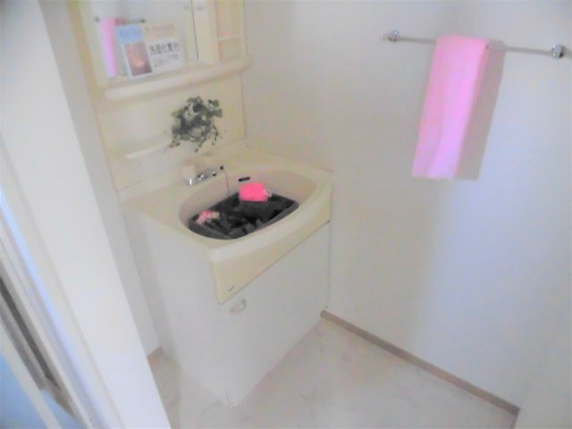 サウスガーデンBB　B棟の独立洗面台