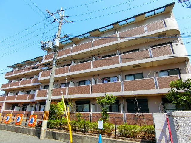 エレガンシア金剛