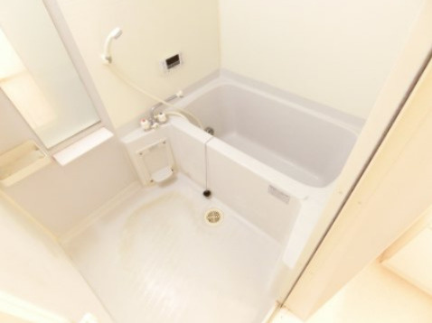 エレガンシア金剛の浴室