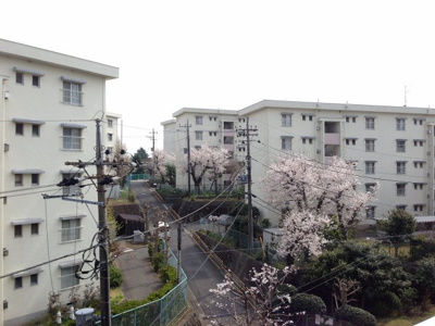 【展望】 | 白幡台住宅9号棟 | 4階部分からの眺望♪