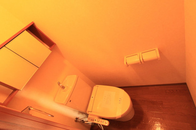 【トイレ】 | エスべランサ北今市 | 落ち着いたトイレです