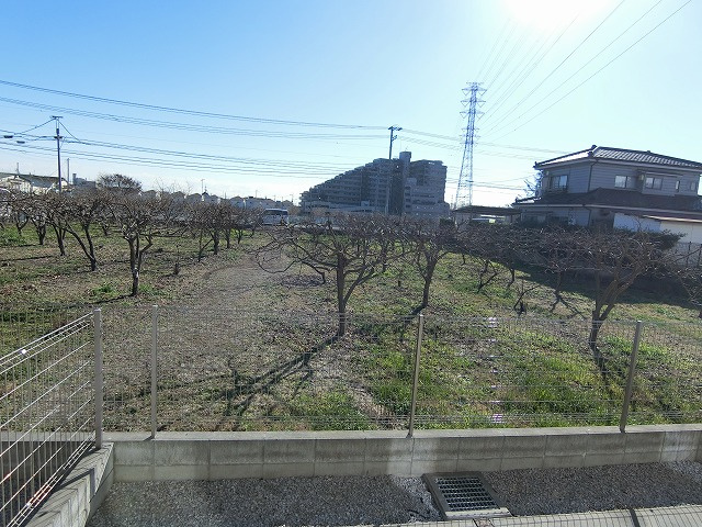 ルミエールの展望