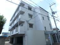 ブルーメ万倍の画像