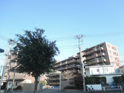 【外観】 | ガーデンシティ三ツ沢公園 | 横浜市営地下鉄ブルーライン「三沢上町」駅徒歩9分の好立地！
