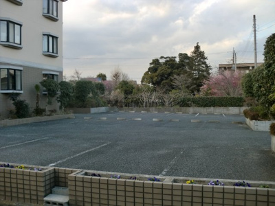 【駐車場】 | メゾン・カトレア駐車場