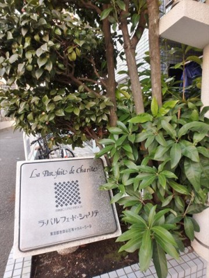 【エントランス】 | ラ・パルフェ・ド・シャリテ
