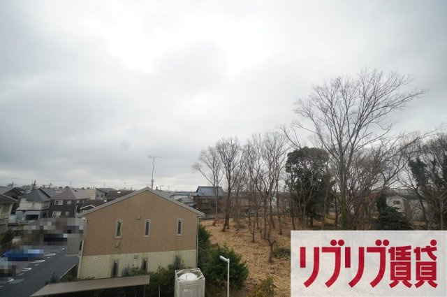 プチクールⅤの展望