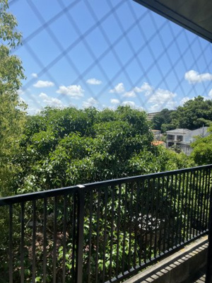 【展望】 | フィオーレ南太田