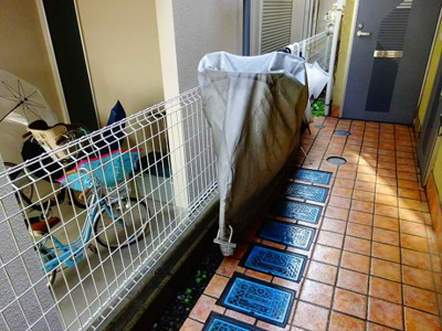 【エントランス】 | ヴィラフォンテーヌ