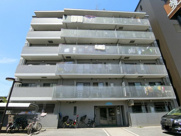 キクゾーンみなづきの画像