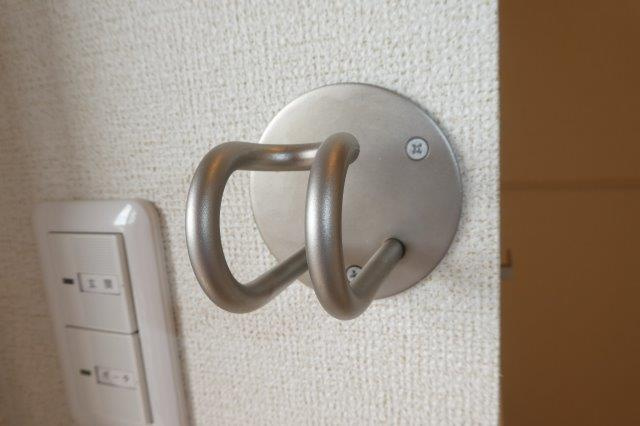 バイオレット真備Ｎｏ．２のその他|リード用フック