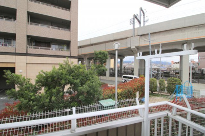 【展望】 | コットンテール