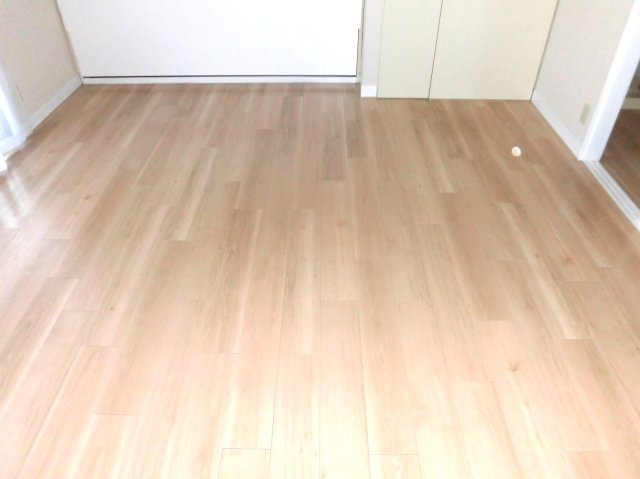 コーポラスシェトアの洋室