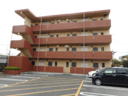 ペティートの画像