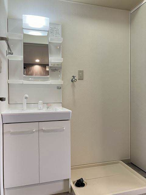 ディアス　C棟の洗面所