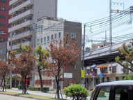 神戸市中央区元町通６丁目のマンションの画像