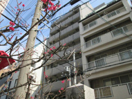 ディナスティ神戸元町通の画像