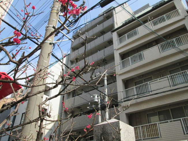 【外観】 | ディナスティ神戸元町通