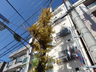 加野ハイツの画像