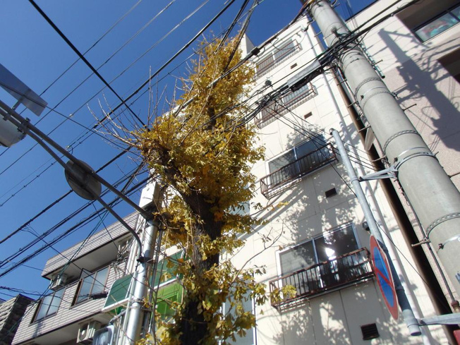 【外観】 | 加野ハイツ