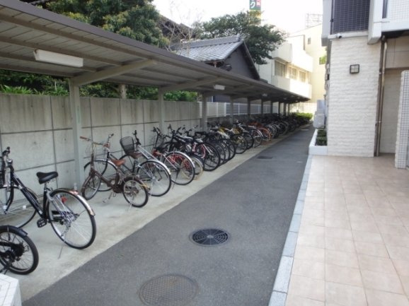 サヴォイフェアリーパークの駐車場