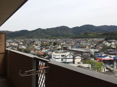 【展望】 | キャメロットリブ