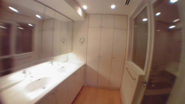 港区虎ノ門４丁目の賃貸マンションのその他|洗面
