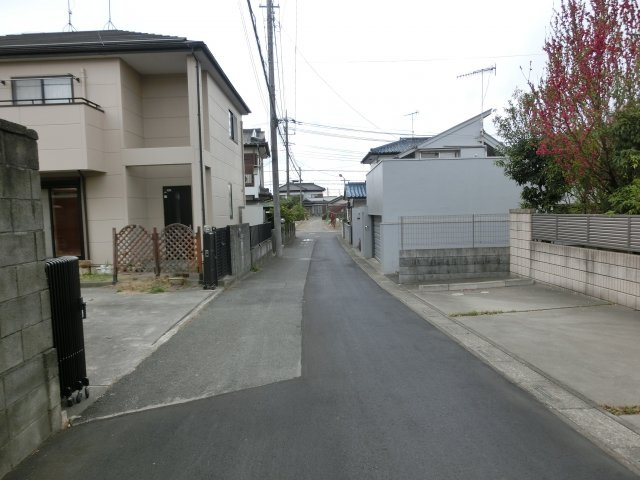 鴻巣市袋の中古一戸建の前面道路含む現地写真|前面道路の南側から撮影。向かって左側が物件です。