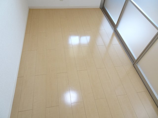 レセンテ花水木Bの洋室