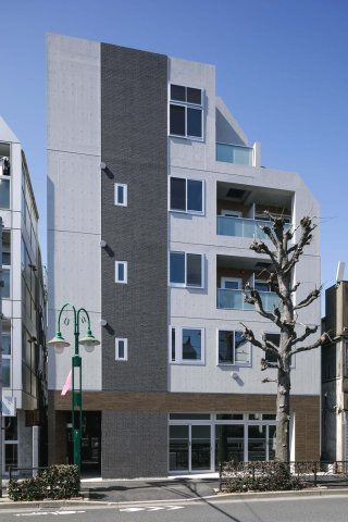 アオカカミノゲ