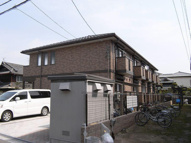 アゼリアの画像