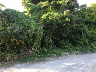  | 中城村屋宜（54.14坪）