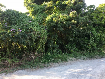  | 中城村屋宜（54.14坪）