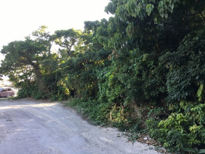  | 中城村屋宜（54.14坪）