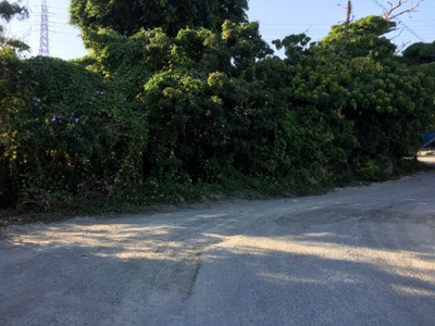  | 中城村屋宜（54.14坪）