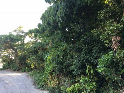  | 中城村屋宜（54.14坪）