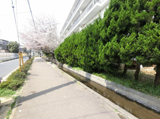 【外観】 | 敷地には大きな桜が咲いており、マンションの雰囲気をより一層引き立ててくれます。