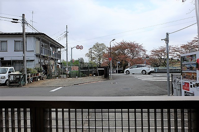 ニューノース参番館の展望