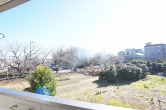 【展望】 | 春には満開の桜並木です。