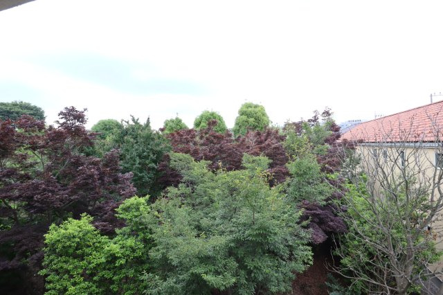 さくらコーポの展望