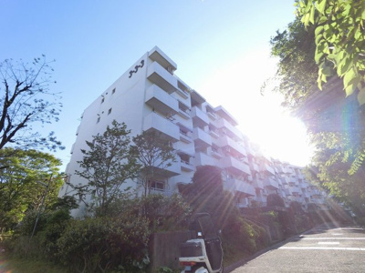 【外観】 | あざみ野団地3-3-3号棟 | 東急田園都市線「あざみ野」駅より徒歩17分