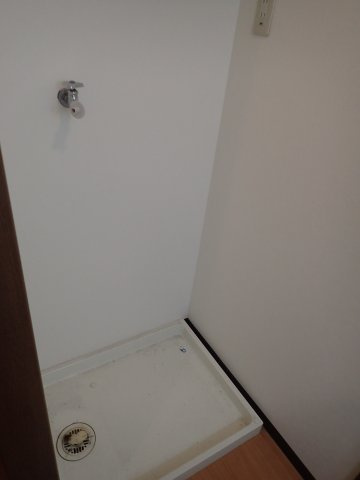 ルピナスのその他