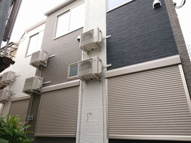 ホルテンシアの画像