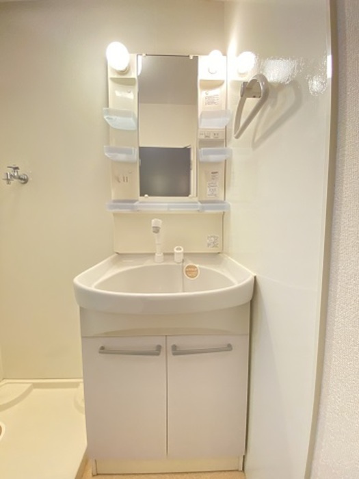 Kanarienの洗面所