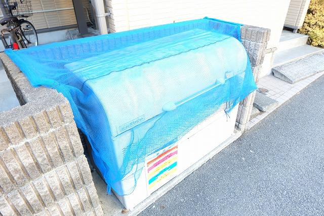 アバンウェルディッツォのその他