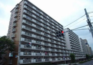 コープ野村亀戸の画像