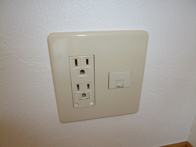 ブルーベリーＢのその他|モジュラージャック